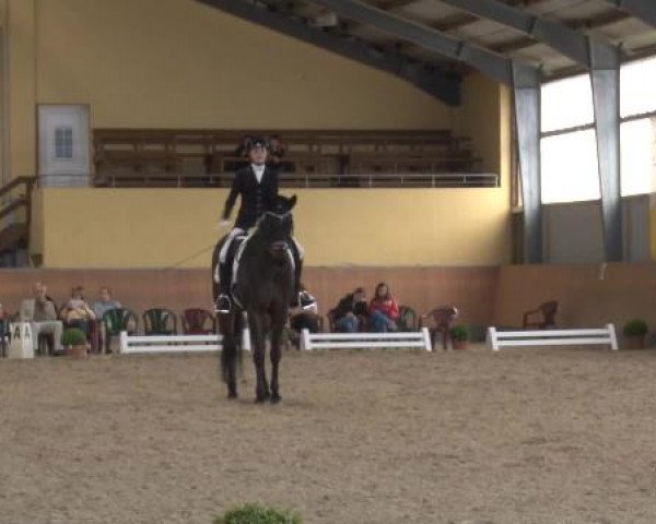 Frechen-Grefrath 2015