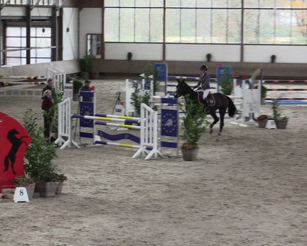 Reitturnier Langenfeld - Gut Langfort 2021