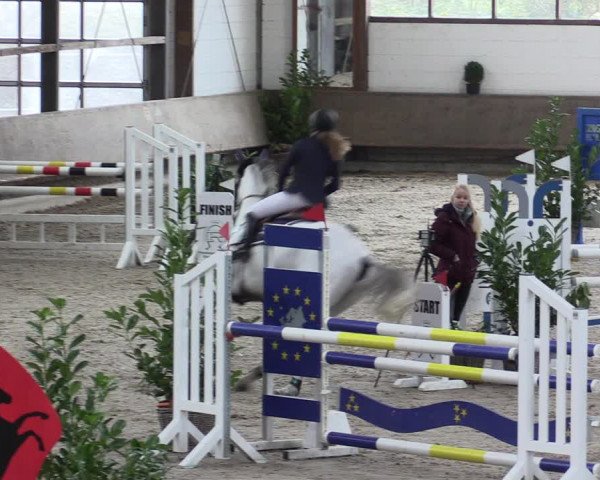 Reitturnier Langenfeld - Gut Langfort 2021