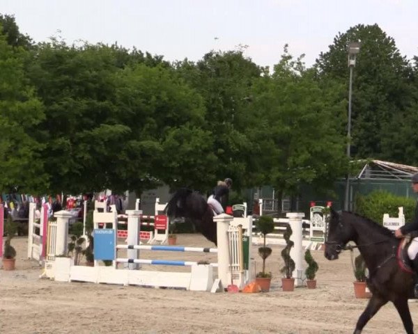 Pfingstturnier Bochum-Nord 2015