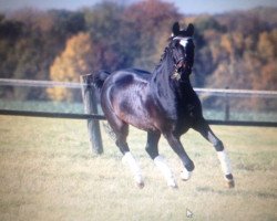 jumper Cash 116 (unknown, 1997)