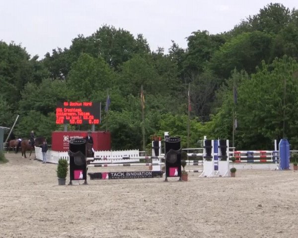 Pfingstturnier Bochum-Nord 2015