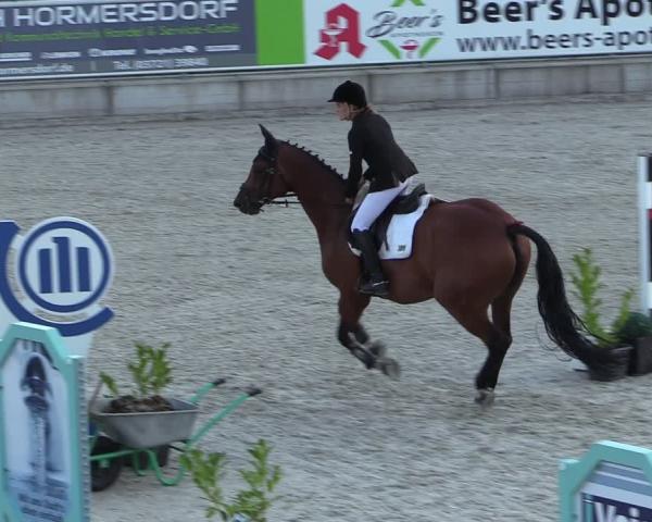 Concurso de Hipismo Dorfchemnitz 2026