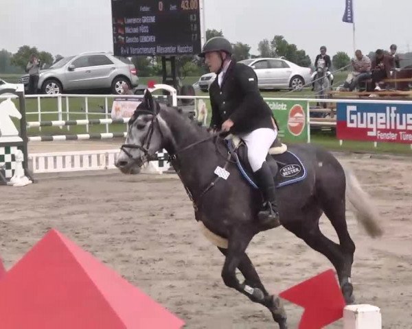 Großes Langenauer Reitturnier 2015