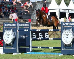 Springpferd Hyperion van Orti (Belgisches Warmblut, 2007, von Dawson van de Padenborre)