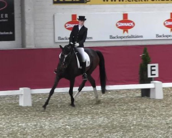 Pfingst - Dressur und Springturnier Borken 2015