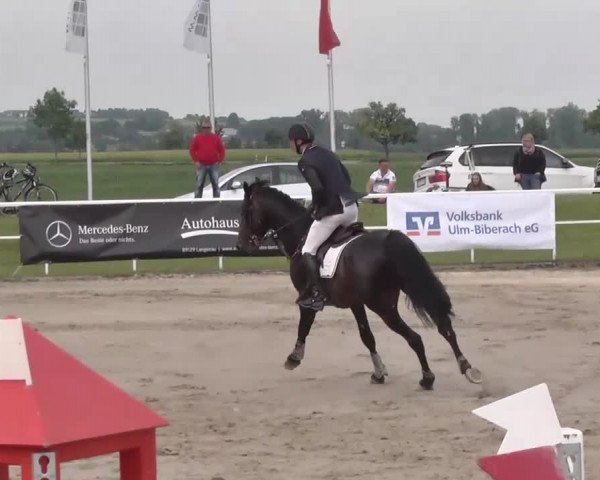 Großes Langenauer Reitturnier 2015