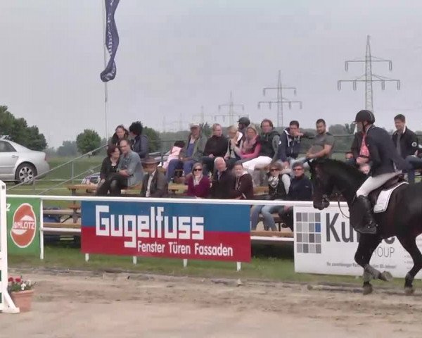 Großes Langenauer Reitturnier 2015