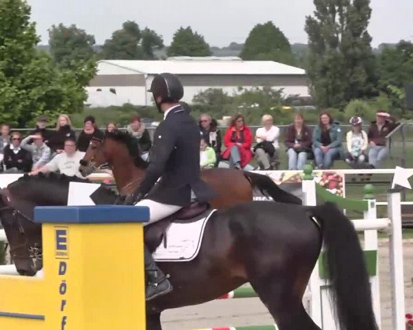 Großes Langenauer Reitturnier 2015