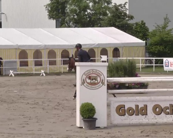 Großes Langenauer Reitturnier 2015