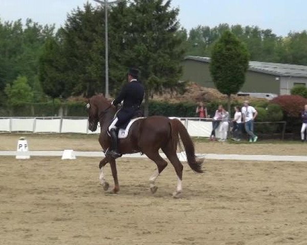 Frechen-Grefrath 2015