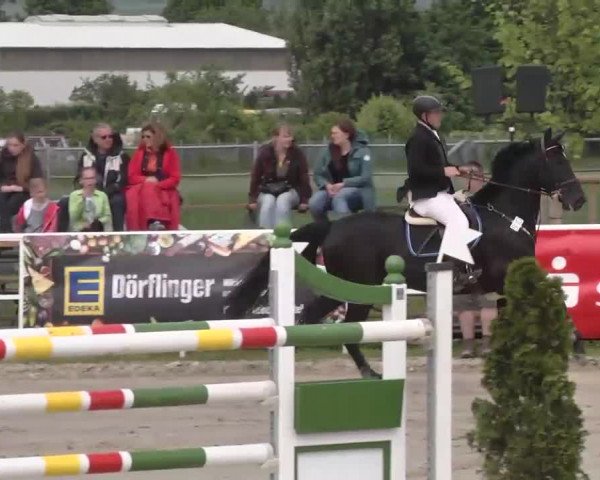 Großes Langenauer Reitturnier 2015