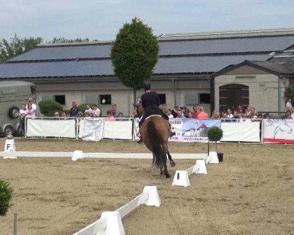 Frechen-Grefrath 2015