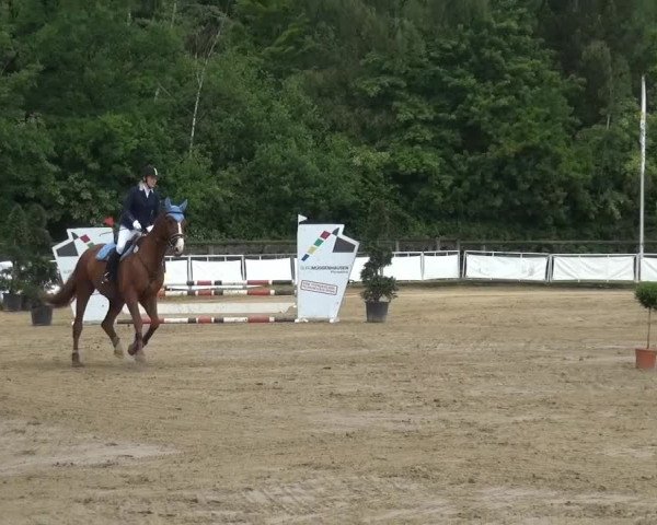 Frechen-Grefrath 2015