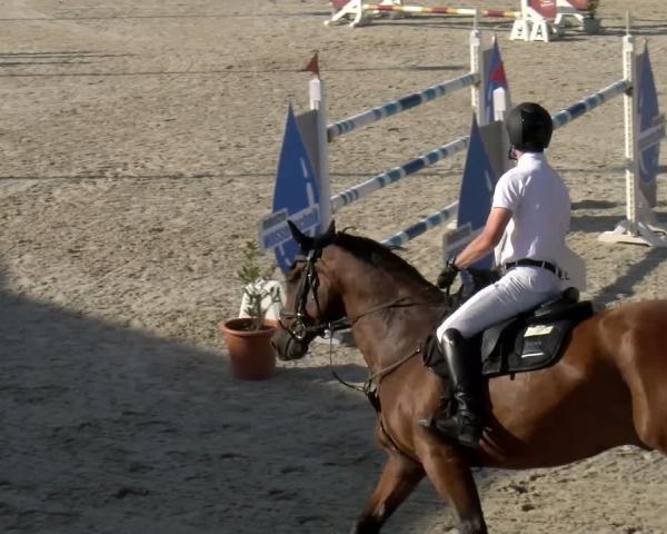 Reitturnier Schopfheim 2026
