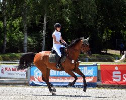 jumper Chicharito de Hugo (Oldenburg show jumper, 2010, from Carinue)