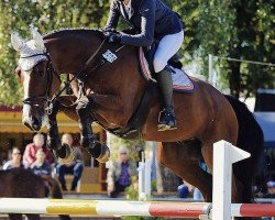 Springpferd Lumumba 27 (Deutsches Sportpferd, 2012, von Lord Argentinus)