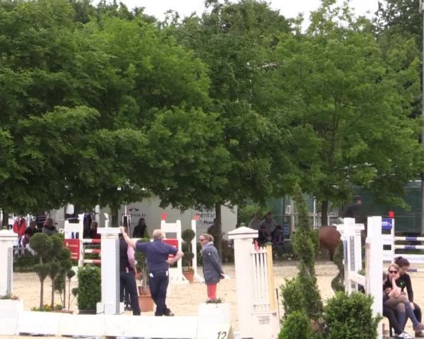 Pfingstturnier Bochum-Nord 2015