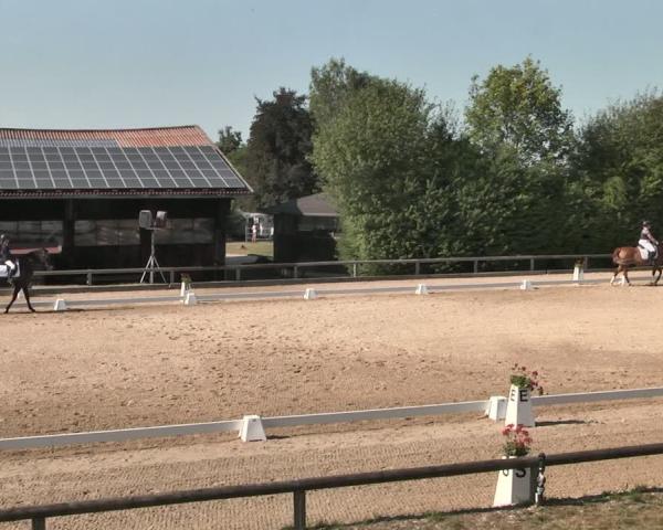 Equestrian Tournament Holzkirchen-Thann/Obb. 2026