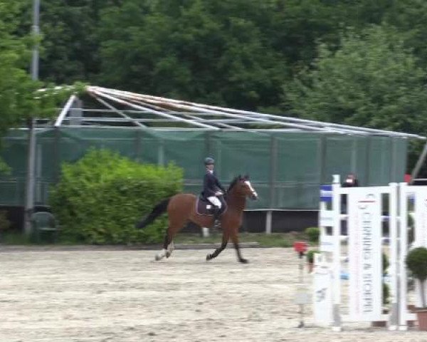 Pfingstturnier Bochum-Nord 2015