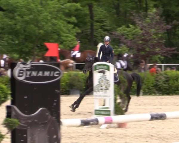 Pfingstturnier Bochum-Nord 2015