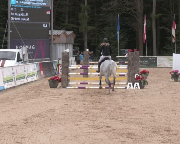 Reitturnier Ranshofen - Braunau am Inn 2026