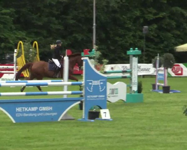 Pfingst - Dressur und Springturnier Borken 2015
