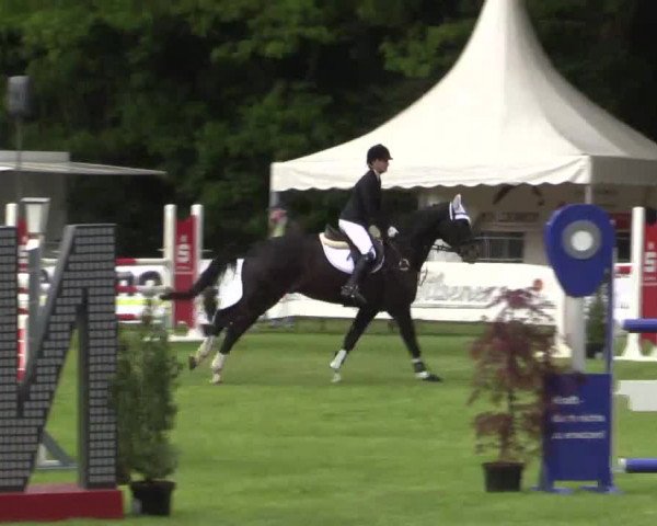 Pfingst - Dressur und Springturnier Borken 2015