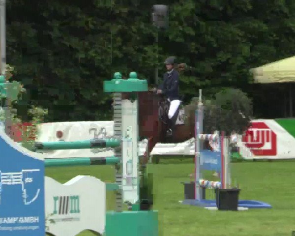 Pfingst - Dressur und Springturnier Borken 2015