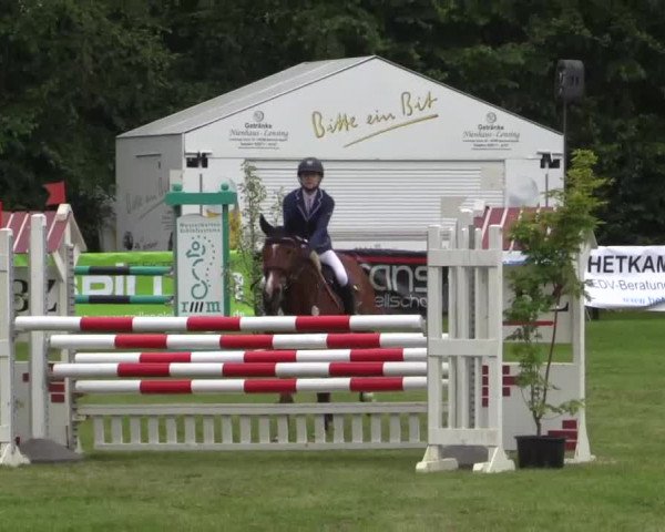 Pfingst - Dressur und Springturnier Borken 2015