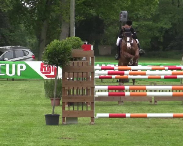 Pfingst - Dressur und Springturnier Borken 2015