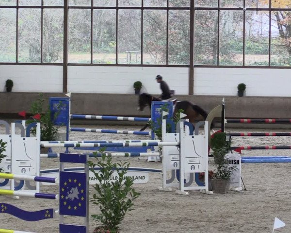 Reitturnier Langenfeld - Gut Langfort 2021
