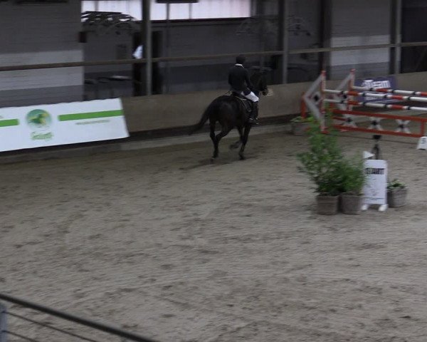 Reitturnier Langenfeld - Gut Langfort 2021