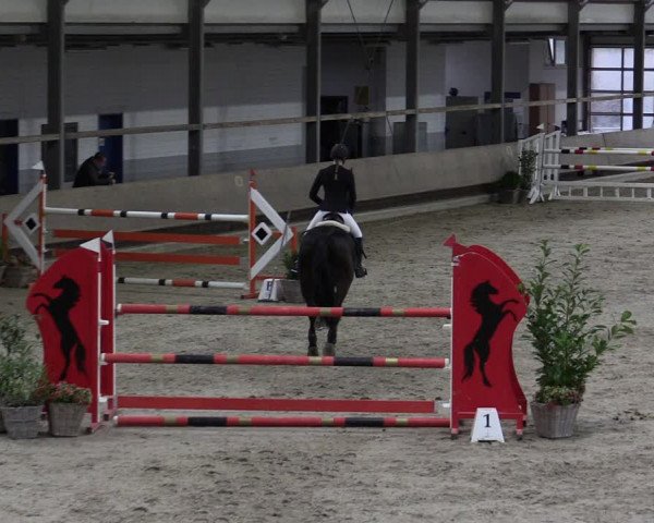 Reitturnier Langenfeld - Gut Langfort 2021