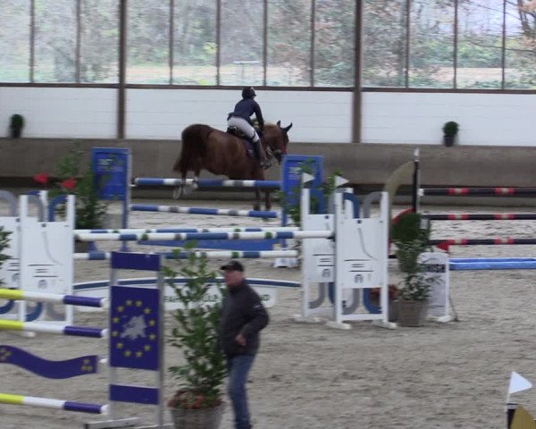 Reitturnier Langenfeld - Gut Langfort 2021