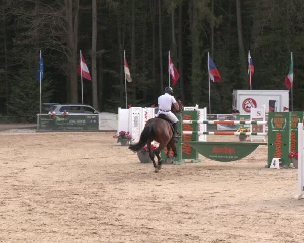Concurso de Hipismo Ranshofen - Braunau am Inn 2026