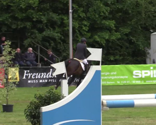 Pfingst - Dressur und Springturnier Borken 2015