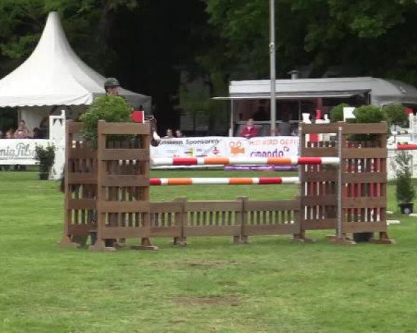 Pfingst - Dressur und Springturnier Borken 2015