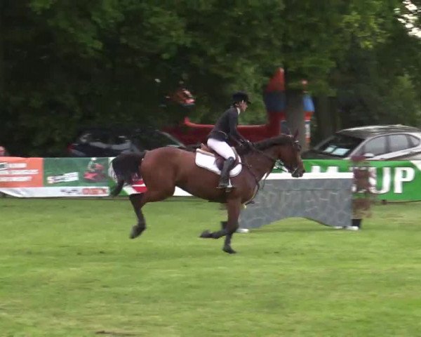 Pfingst - Dressur und Springturnier Borken 2015