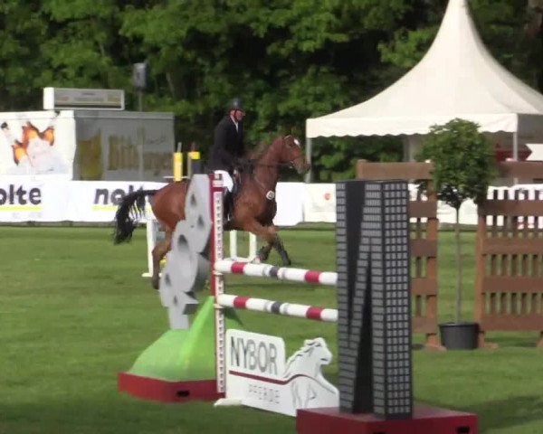 Pfingst - Dressur und Springturnier Borken 2015