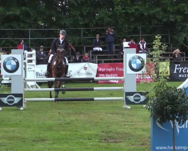 Pfingst - Dressur und Springturnier Borken 2015