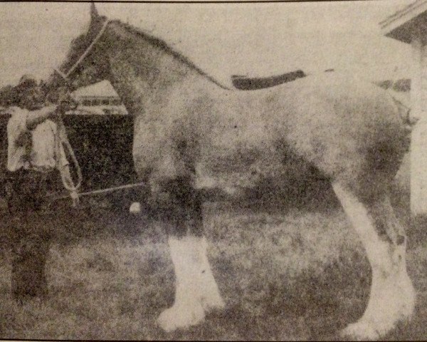 broodmare Refiner's Maid (Clydesdale, 1940, from Gallant Refiner 28123)
