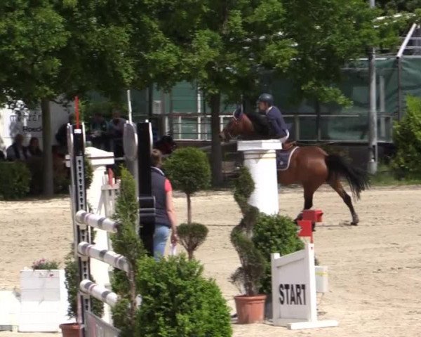 Pfingstturnier Bochum-Nord 2015