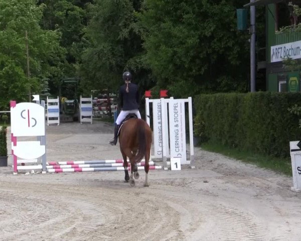 Pfingstturnier Bochum-Nord 2015