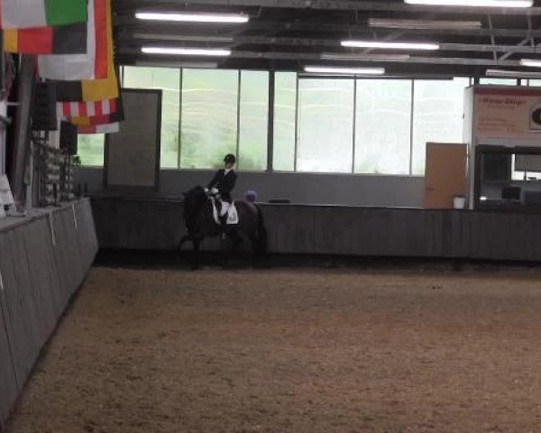 Pfingstturnier Bochum-Nord 2015