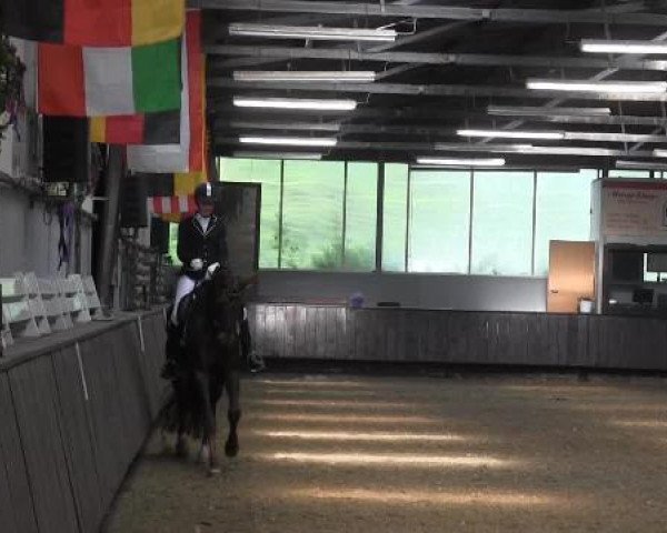 Pfingstturnier Bochum-Nord 2015
