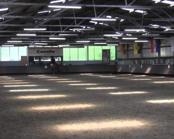 Pfingstturnier Bochum-Nord 2015