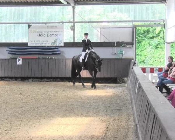 Pfingstturnier Bochum-Nord 2015
