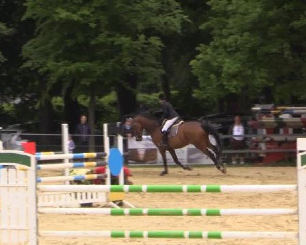 Iserlohn-Kalthof 2015
