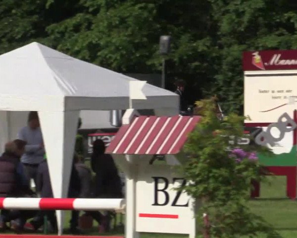 Pfingst - Dressur und Springturnier Borken 2015